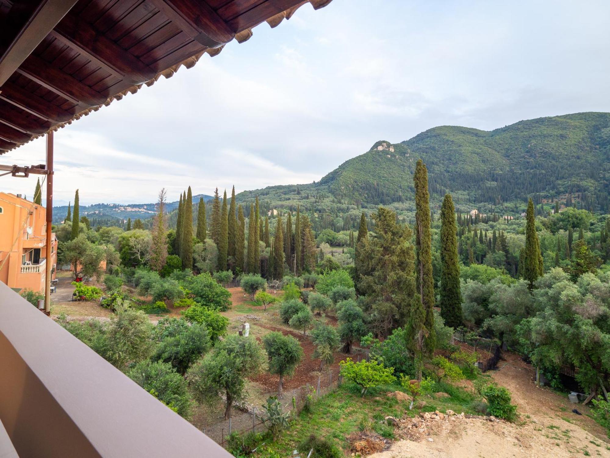 The View House